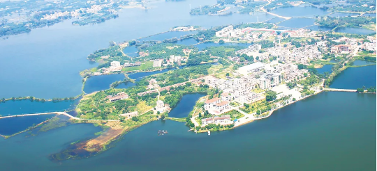 集團(tuán)全力助推廣東湛江廉江市委托招商引資，圍繞優(yōu)勢(shì)產(chǎn)業(yè)補(bǔ)鏈、強(qiáng)鏈、延鏈