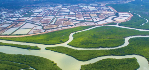 集團(tuán)全力助推廣東湛江廉江市委托招商引資，圍繞優(yōu)勢(shì)產(chǎn)業(yè)補(bǔ)鏈、強(qiáng)鏈、延鏈